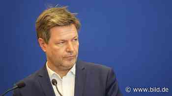 Habeck droht Riesen-Gerichts-Ärger wegen Förder-Stopp beim Bauen - BILD