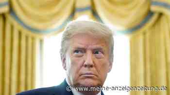 Richter: Trump und seine Kinder müssen unter Eid aussagen