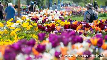 Starnberg - Ideen für Landesgartenschau gesucht - Starnberg - SZ.de - Süddeutsche Zeitung