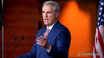 McCarthy endorses Cheney primary challenger