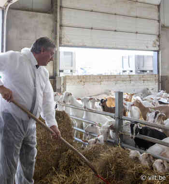 Geen nieuwe elementen in stikstofarrest Merksplas - Vilt