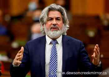 Heritage minister says Netflix, Disney should contribute more to Canadian culture - Dawson Creek Mirror