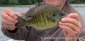 Gary Donald Dawson - Brainerd Dispatch