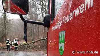 Sturm im Kreis Hersfeld-Rotenburg: Mehrere Bäume umgestürzt - Oberleitung beschädigt - HNA.de