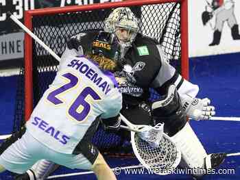 Christian Del Bianco backbone of Calgary Roughnecks 2022 playoff hopes - Wetaskiwin Times Advertiser