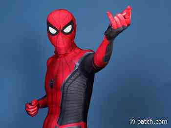 Spider-Man Fan Pushing For Forest Hills Statue: Report - Patch.com