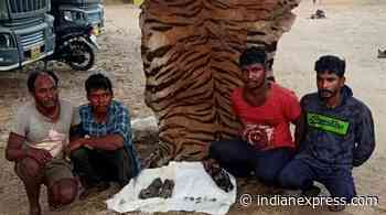 Karnataka Forest Department apprehends 6 in tiger poaching case at Nagarhole reserve - The Indian Express