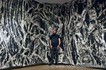 Art exhibition transforms VIU gallery into immersive forest reading room – Nanaimo News Bulletin - Nanaimo Bulletin
