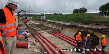 Energiewende: Stromtrasse reißt auch in Stadtlohn breiten Graben auf - Ruhr Nachrichten