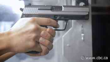 'Ghost guns,' handguns growing concern in Saskatoon, police firearms report says