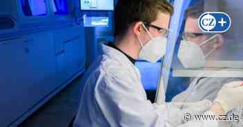 Höchste Inzidenz in Niedersachsen: Meldet das Gesundheitsamt Celle zu gut? - Cellesche Zeitung