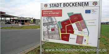 Warum Bau des Tierkrematoriums in Bockenem plötzlich auf Eis liegt - www.hildesheimer-allgemeine.de