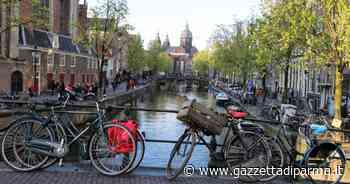 I Reportage di Odetta Carpi - Gazzetta di Parma