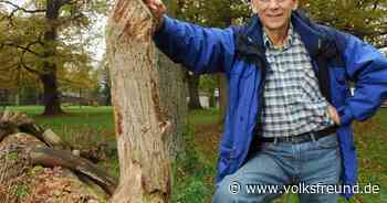 Hermann Simon: Der weltweit bekannte Management-Stratege wird 75 - Trierischer Volksfreund