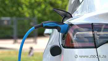 Bauarbeiten für Europas erste Fabrik für Lithiumhydroxid sollen noch 2022 starten - rbb24