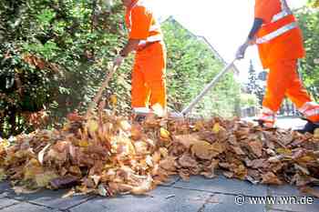 Betriebsausschuss berät über neue Führungsstruktur bei Abfallwirtschaftsbetrieben