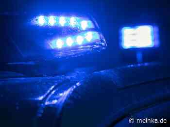 Nicht angeleinter Hund verletzt Frau in Bruchsal - meinKA - meinKA | Stadtportal Karlsruhe