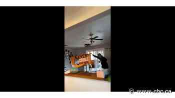 Video showing partiers dancing with Every Child Matters flag 'triggered' elders, First Nation chief says