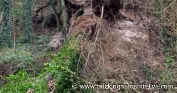 Storm Dudley: Fallen tree in Beaconsfield blocks Chiltern Railways services from High Wycombe - Buckinghamshire Live