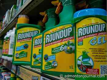 David Staples: Organic food might well transform your health — and is well worth fighting for