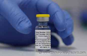 Health Canada approves Novavax protein-based COVID-19 vaccine - Comox Valley Record