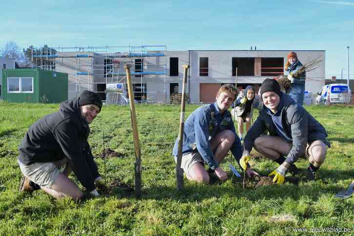 500 bomen geplant voor uitbreiding Jeugdsite