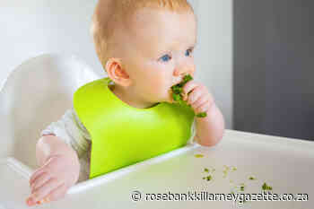 Expert advice: Nutrient-dense diets for infants - Rosebank Killarney Gazette