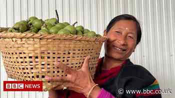 Indian tea start-ups search for an exotic edge