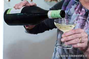 Confagricoltura Cuneo, "Importante distinguere tra uso e abuso di alcol, evitato un duro colpo al comparto vino" - IdeaWebTv