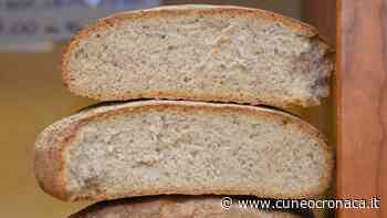 CUNEO/ Caro energia e materie prime: aumenta anche il costo del pane e il settore va in crisi - Cuneocronaca.it