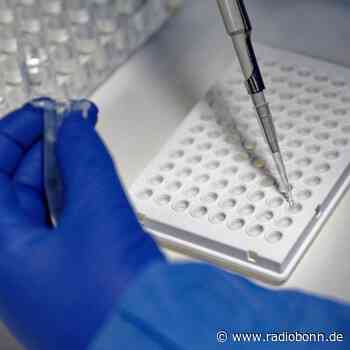 Omikron-Subtyp BA.2: Gefährdete Gruppen besser schützen - radiobonn.de