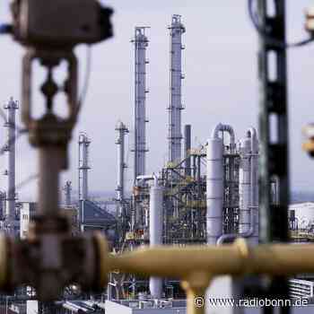Zukunft des Evonik-Geländes in Niederkassel-Lülsdorf - radiobonn.de