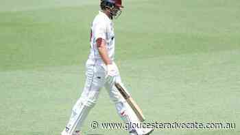 Bulls top-order super cautious in Shield - Gloucester Advocate