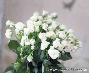 Tribute paid to Gloucester rugby legend Alan Brinn - Hereford Times