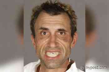 Southern California man arrested 3 times in day - New York Post