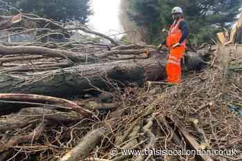 Storm Eunice: Southeastern closes network as trees block lines