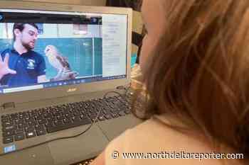 Happening around Delta: week of Feb. 17 – North Delta Reporter - North Delta Reporter