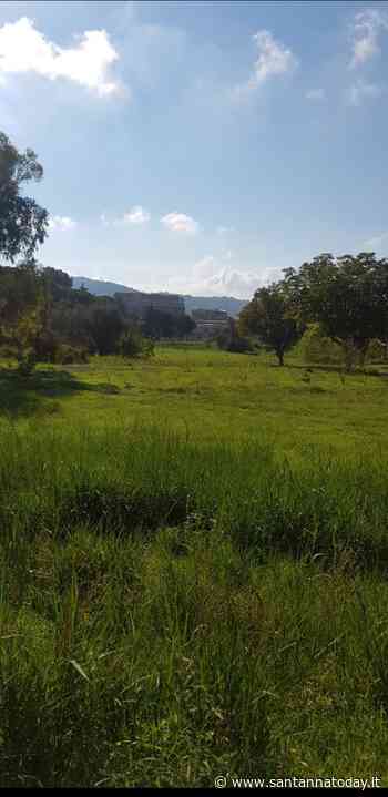 Che fine ha fatto il parco urbano di Enna Bassa? Le preoccupazioni del coordinamento - Sant'Anna Today