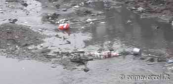 Cervetto pattumiera: altre immagini del disastro - Prima Vercelli