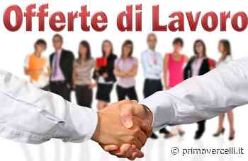 Offerte lavoro: le nuove opportunità disponibili - Prima Vercelli