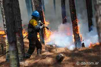 Fuego en Corrientes: la provincia de Buenos Aires envió helicópteros hidrantes y brigadistas - Diarios Bonaerenses