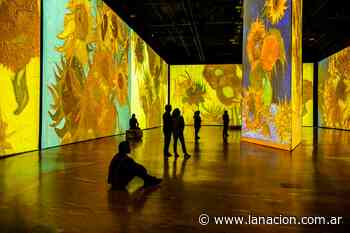 Van Gogh en Buenos Aires: ¿es una muestra de arte la experiencia inmersiva? - LA NACION