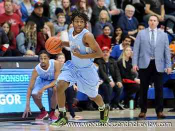 Local roundup: Lions welcome fans; Chapman commits to Lambton - Woodstock Sentinel Review