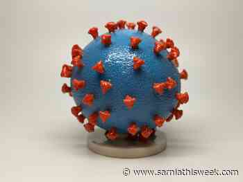 Brantford-Brant COVID-19 hospitalizations drop | Sarnia & Lambton County This Week - Sarnia and Lambton County This Week