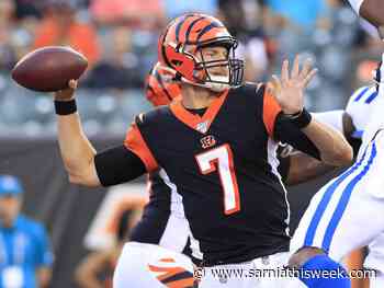 Saskatchewan Roughriders sign quarterback Jake Dolegala | Sarnia & Lambton County This Week - Sarnia and Lambton County This Week