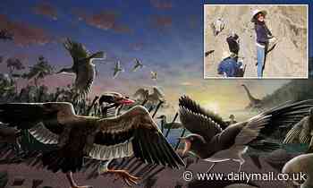 Ancient bird with a 'movable chin' roamed China 120 million years ago