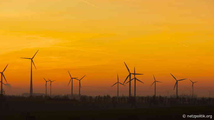 Smart Meter: Der Weg zur Energiewende führt über den eigenen Keller