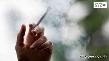 Wittenberge: Zeuge bemerkt Cannabis-Geruch und ruft die Polizei | svz.de - svz – Schweriner Volkszeitung