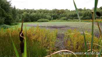 Arbeiten an Schlatt - WESER-KURIER
