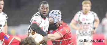 Rugby - VRDR vs Suresnes : Les Damiers puissance cinq - https://www.limpartial.fr/